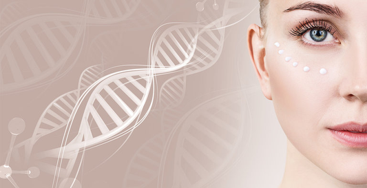 Marine collagen or Bovine Collagen  which is better