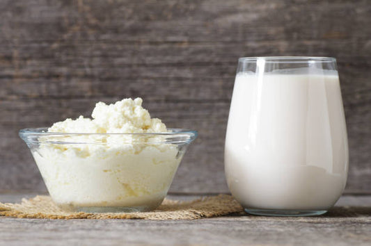Colostrum: Nature’s First Nutrition Explained